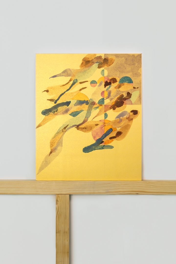 Gabriel Orozco - Suisai LII - 1