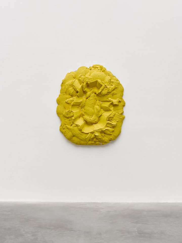 Bram Bogart - Tête d'or - 1