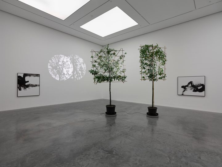 Cerith Wyn Evans - Still life (In course of arrangement)… VI - 1