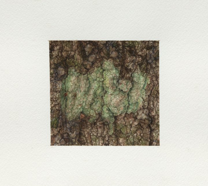 Ellen Altfest - Green Shapes - 3