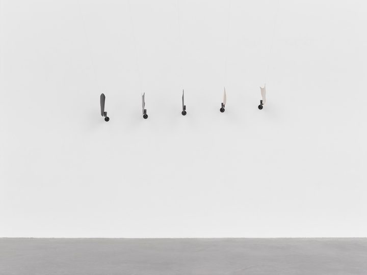 Takis - Magnetic Flowers (White Magnetic Wall) - 1