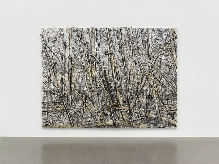 Anselm Kiefer - Der Gordische Knoten - 1