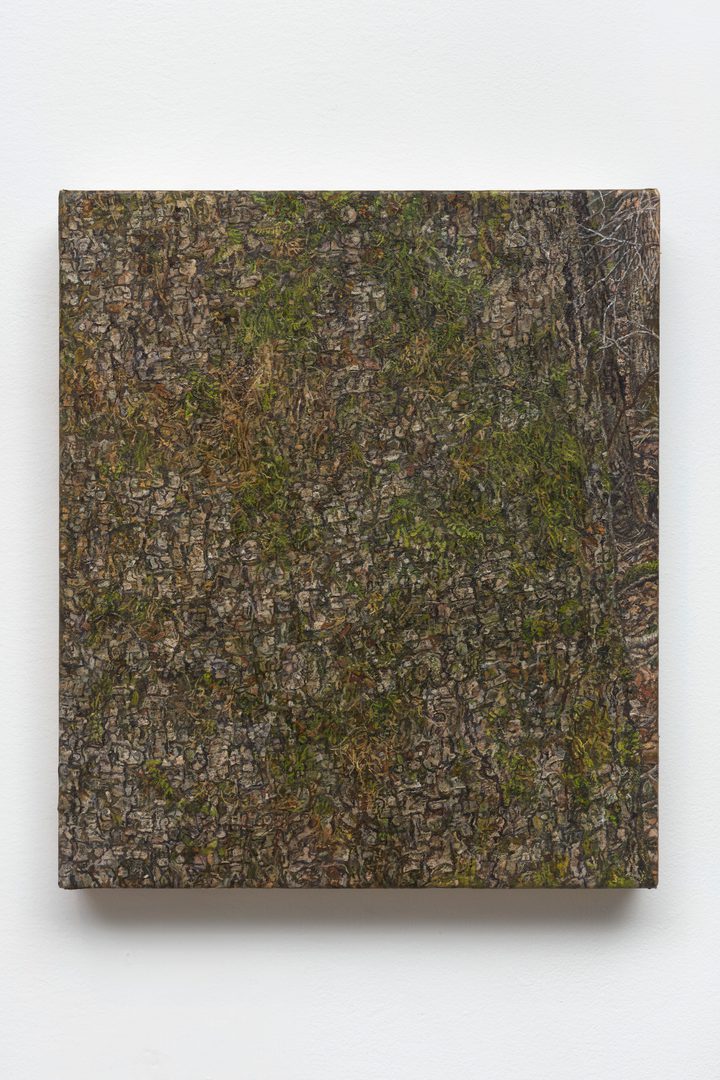 Ellen Altfest - Trees - 1