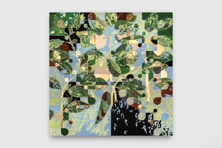 Gabriel Orozco - Pepper plant - 1