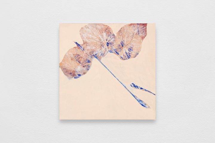 Gabriel Orozco - Plant Journal 1 - 1