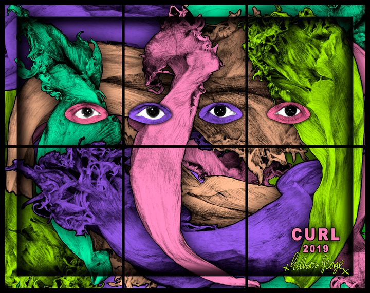 Gilbert & George - CURL - 1