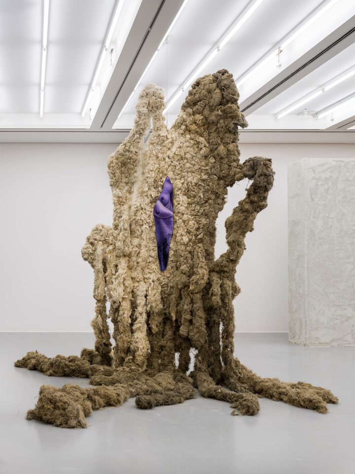 Klára Hosnedlová - Untitled (from the series To Infinity) - 1