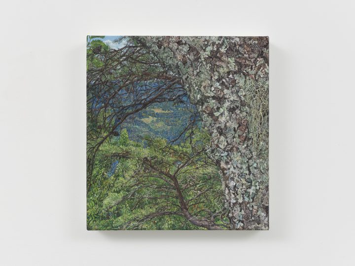 Ellen Altfest - Borrowed View - 1