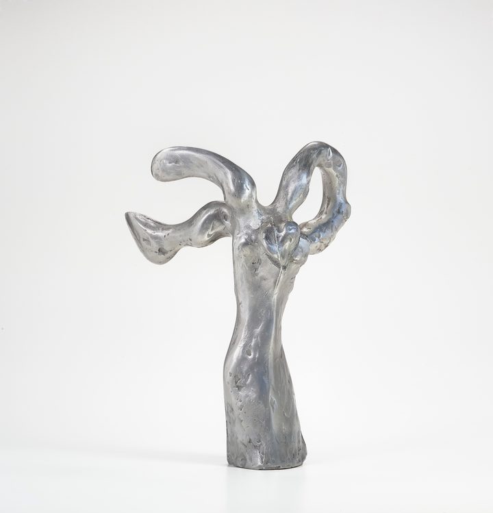 Richard Hunt - Wing Ring Hybrid - 1