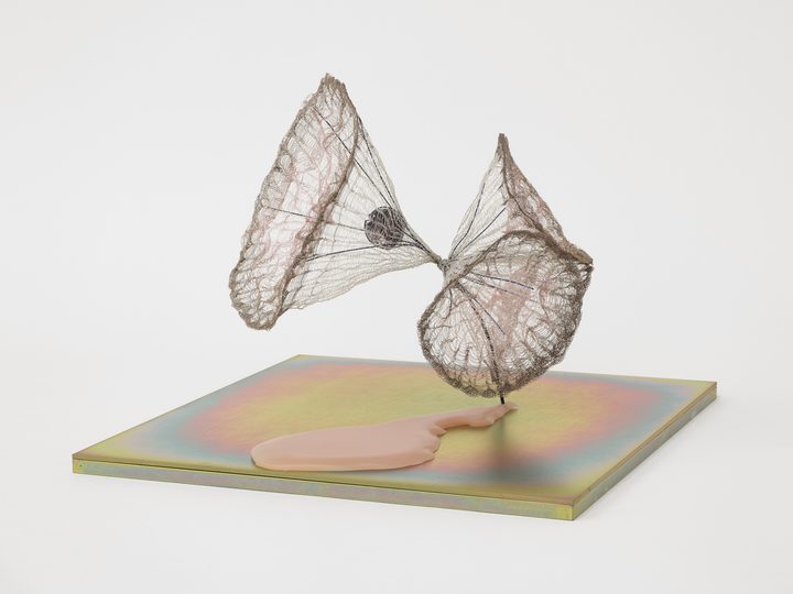 Marguerite Humeau - release of gravity - 1