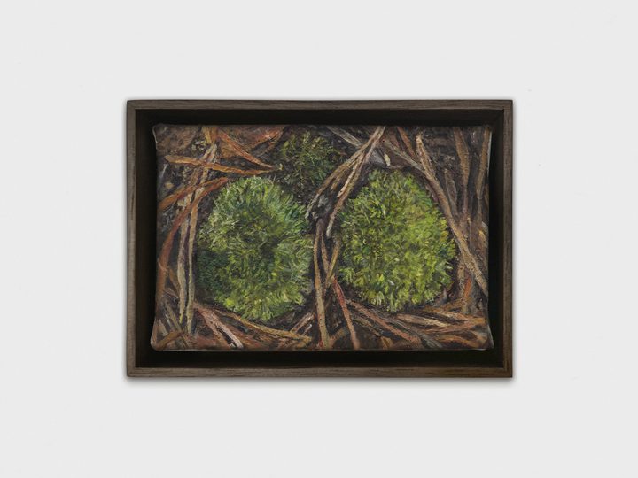 Ellen Altfest - Mountain Moss - 1