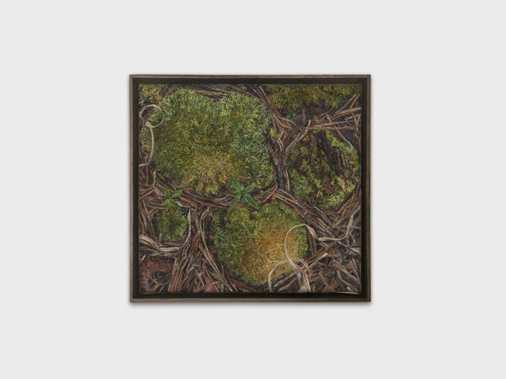 Ellen Altfest - Mountain Moss - 1