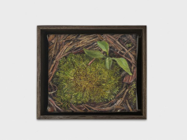 Ellen Altfest - Mountain Moss - 1