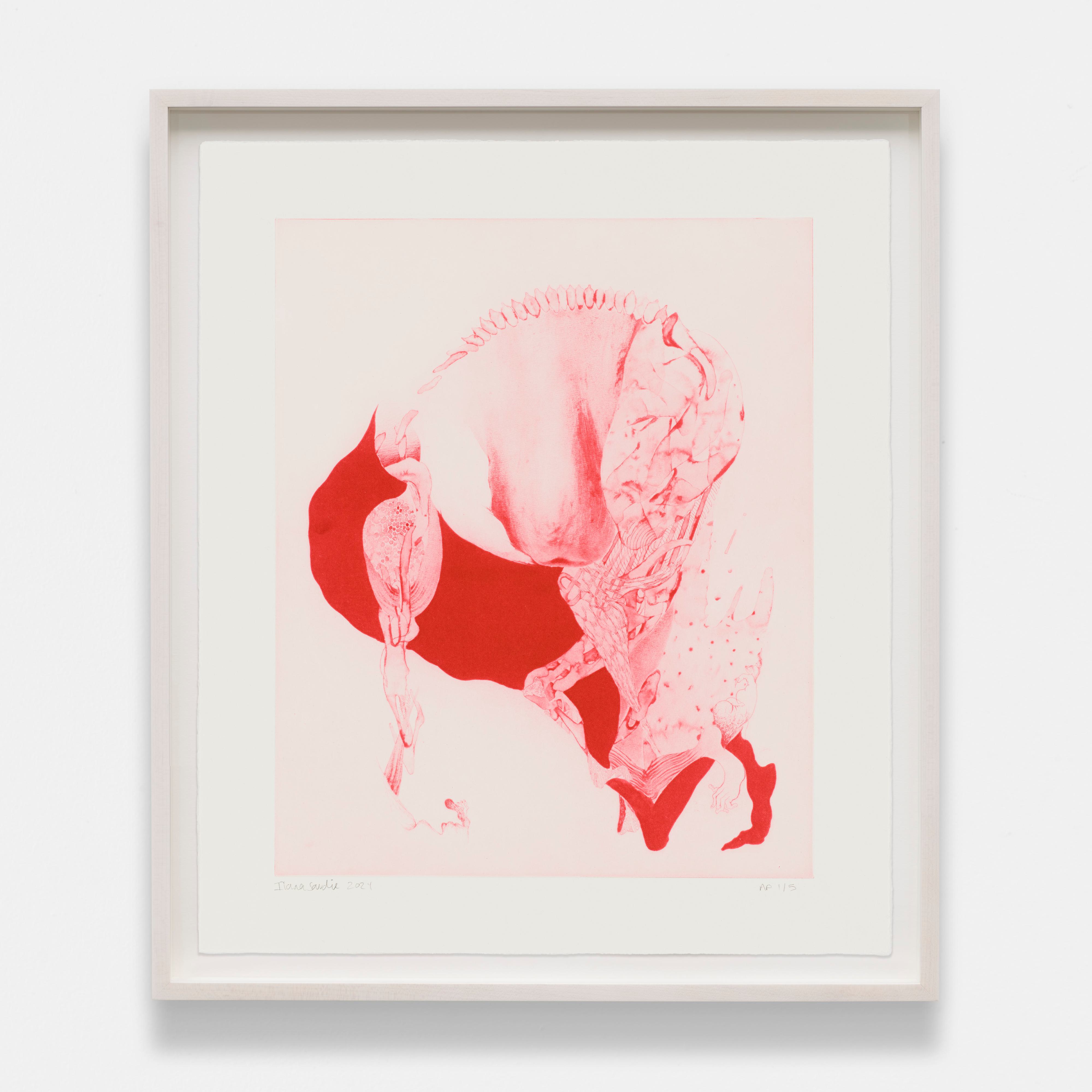 Ilana Savdie - Ecdysis - 1