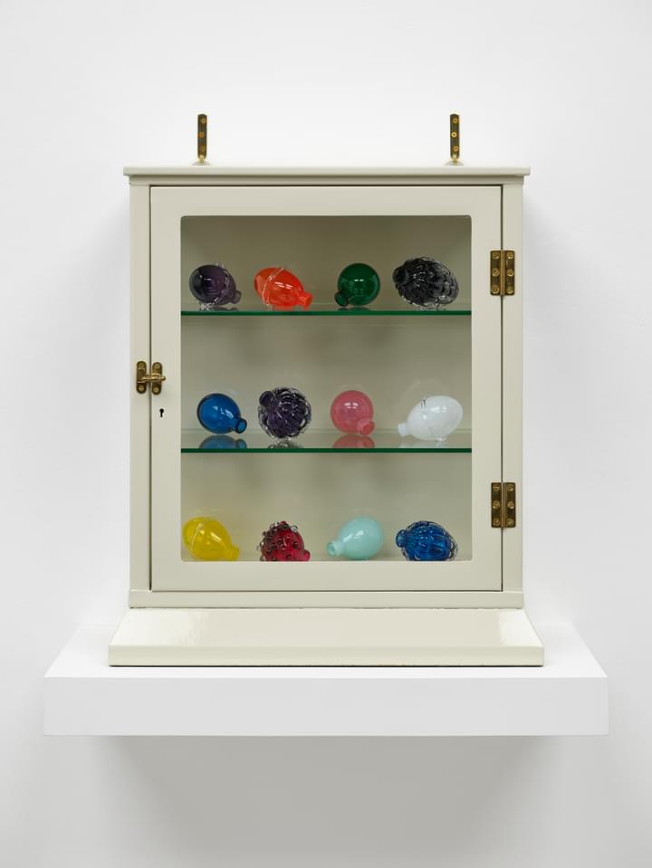 Mona Hatoum - Still Life (medical cabinet) VI - 1