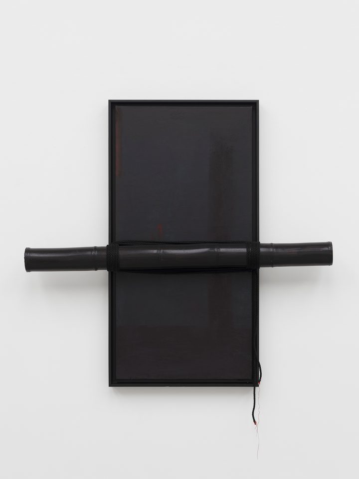 Tiona Nekkia McClodden - NEVER LET ME GO | XLIV. the zenith [45] - 1