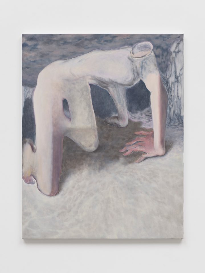 Firenze Lai - The True North - 1