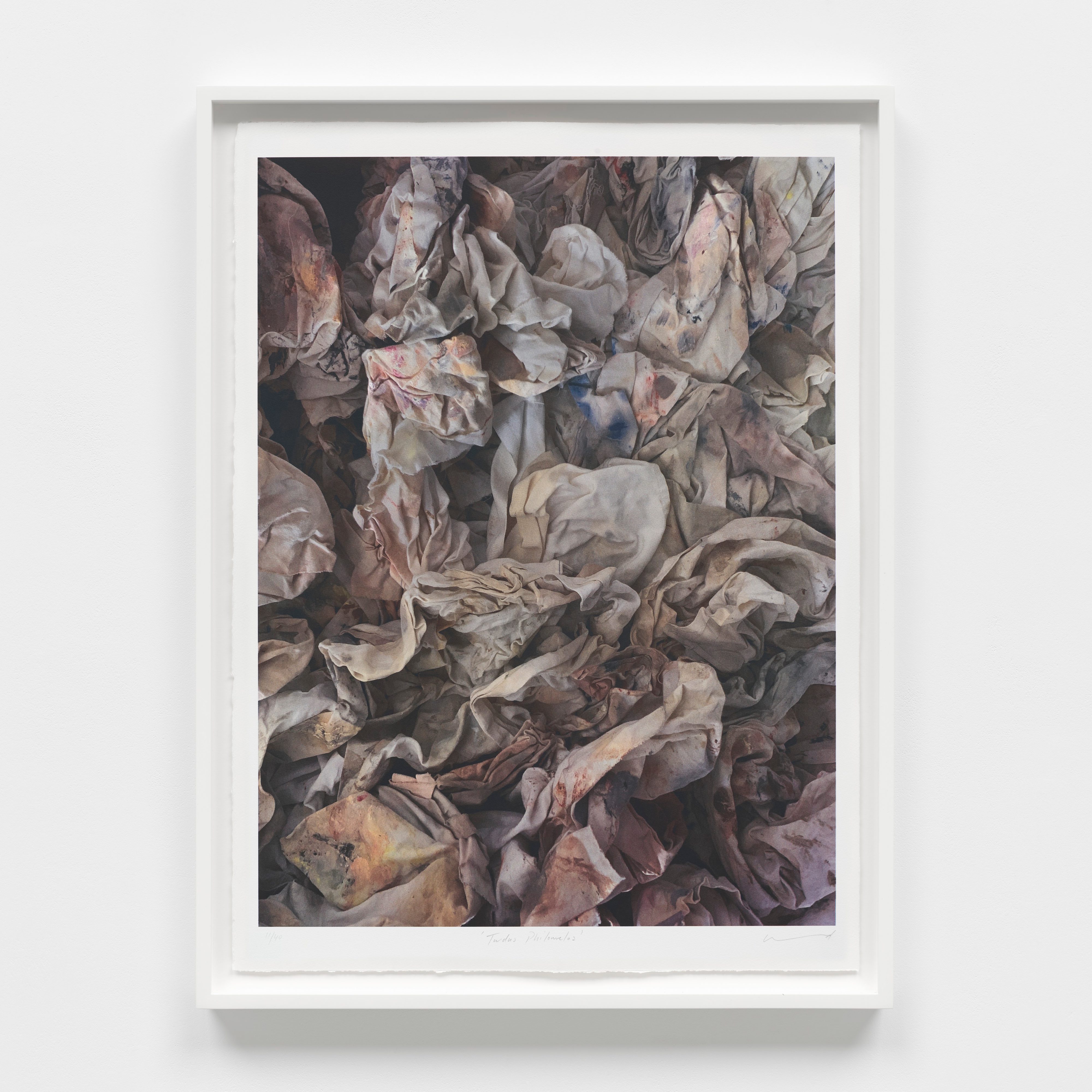 Darren Almond - Turdus Philomelos - 1