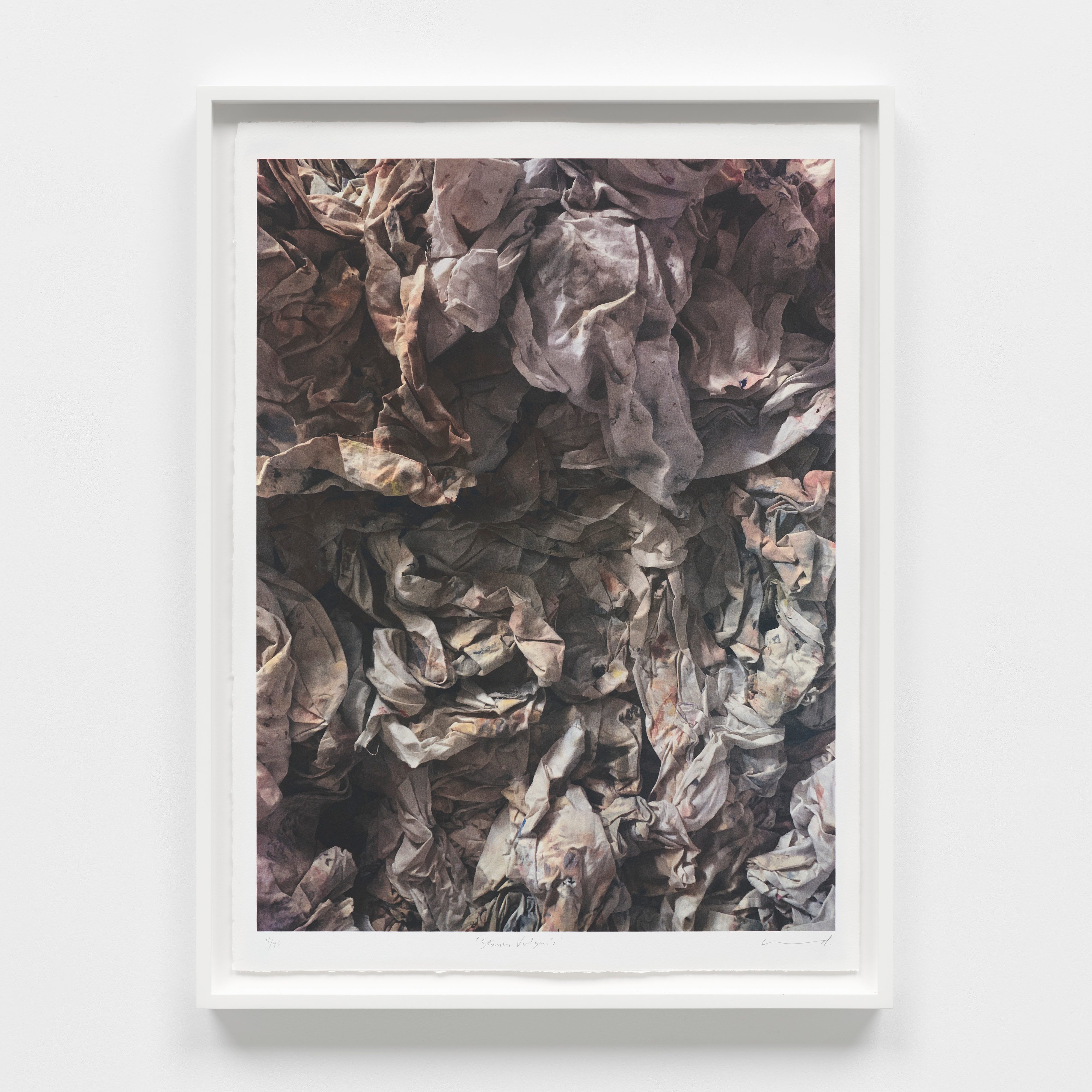 Darren Almond - Sturnus Vulgaris - 1