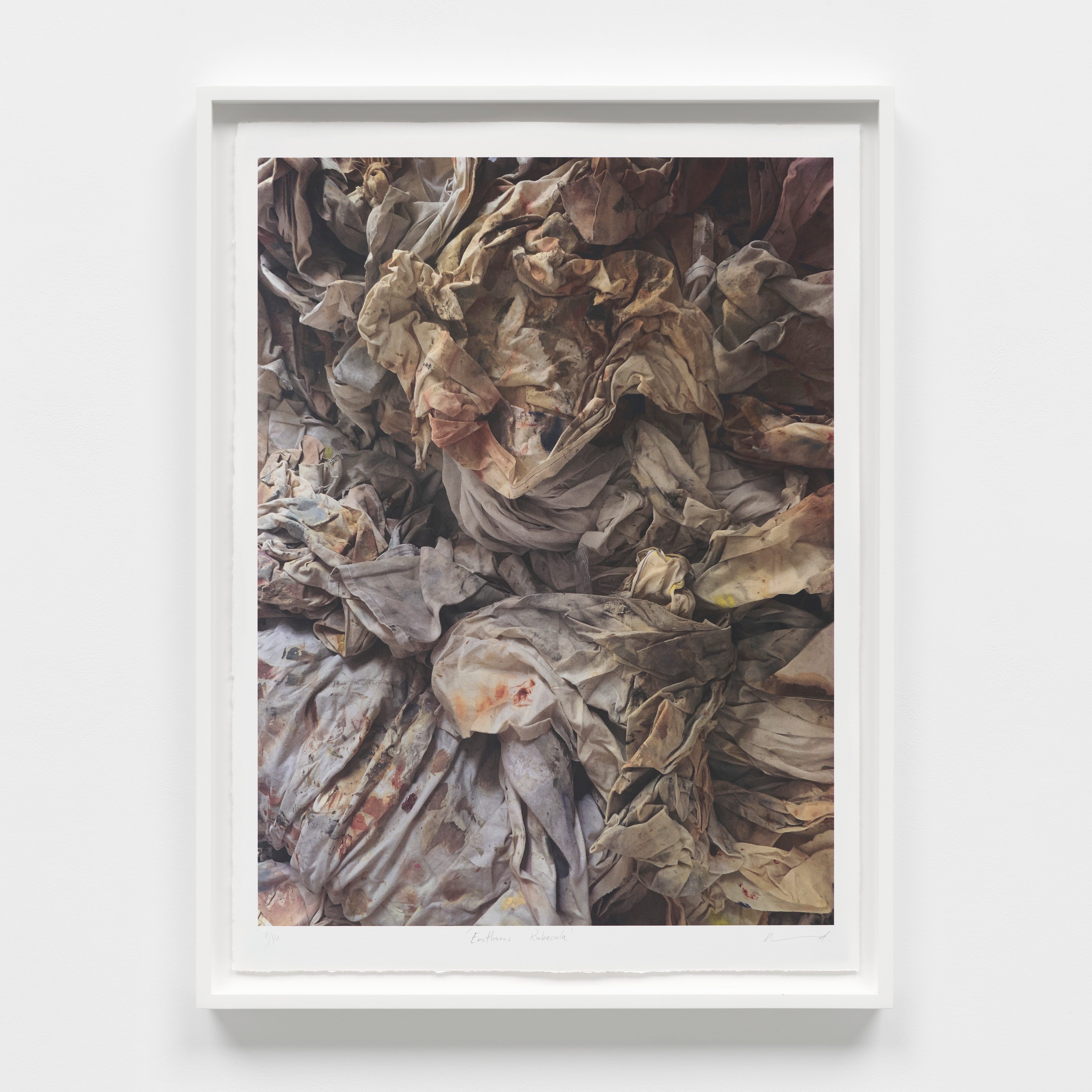 Darren Almond - Erithacus Rubecula - 1