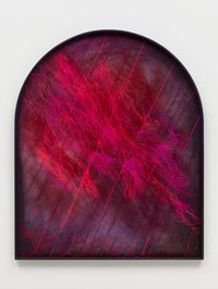 Noctilumen: the radiance of thin roots lit by microbial films, fragile strands glowing in absolute