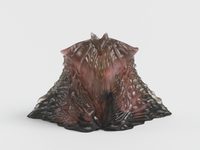 The Guardian of the Solution Pocket: protecting the secret hollows where the vulnerable hide