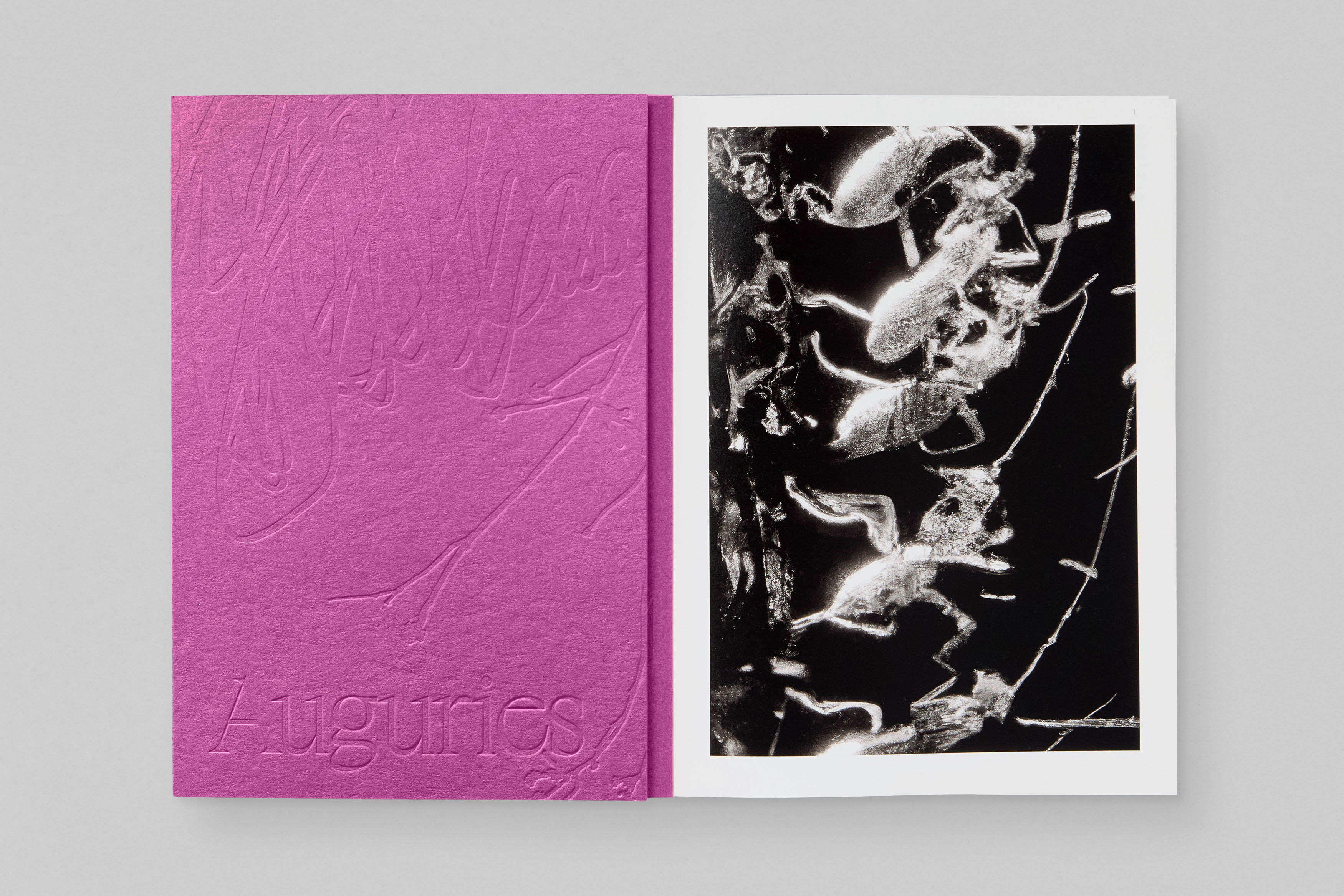 Marguerite Humeau ‘Auguries’