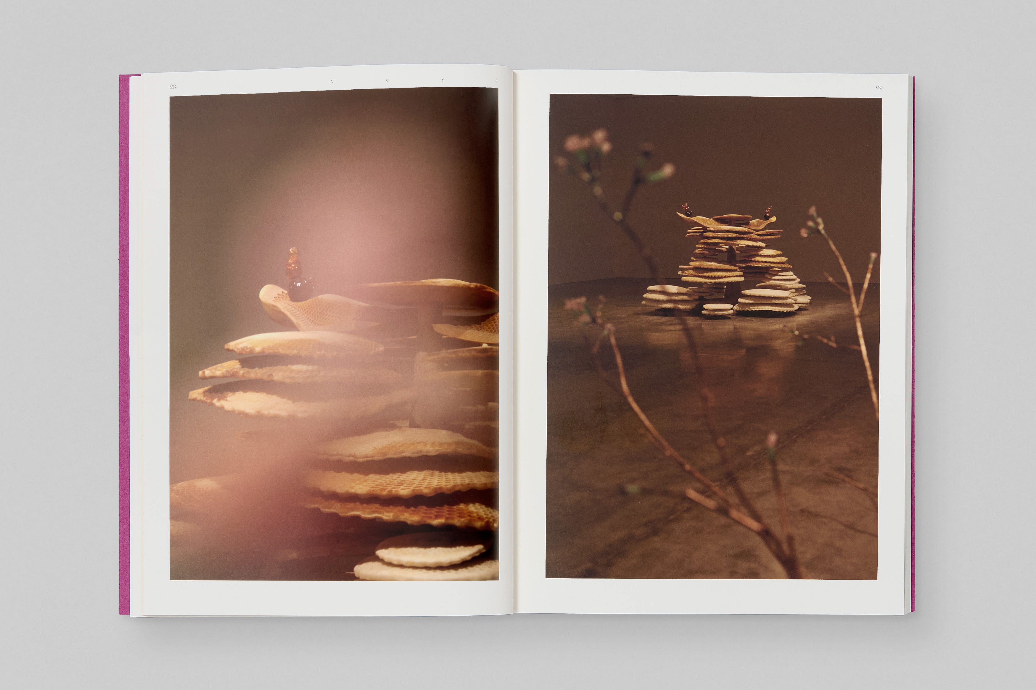 Marguerite Humeau ‘Auguries’