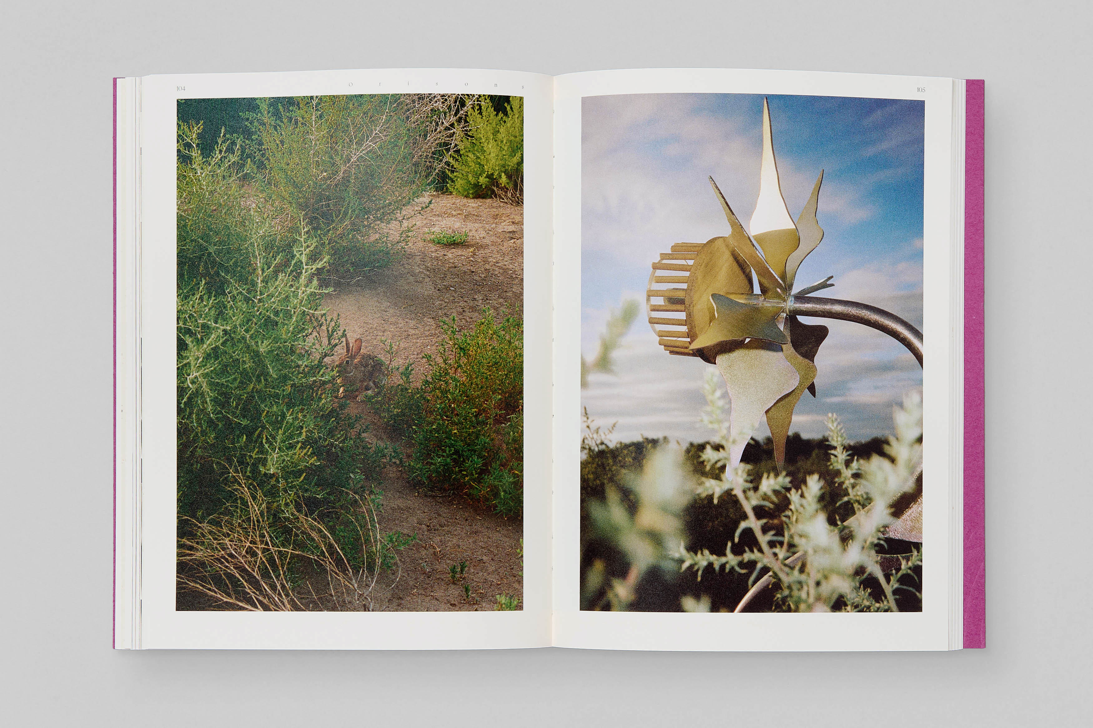 Marguerite Humeau ‘Auguries’