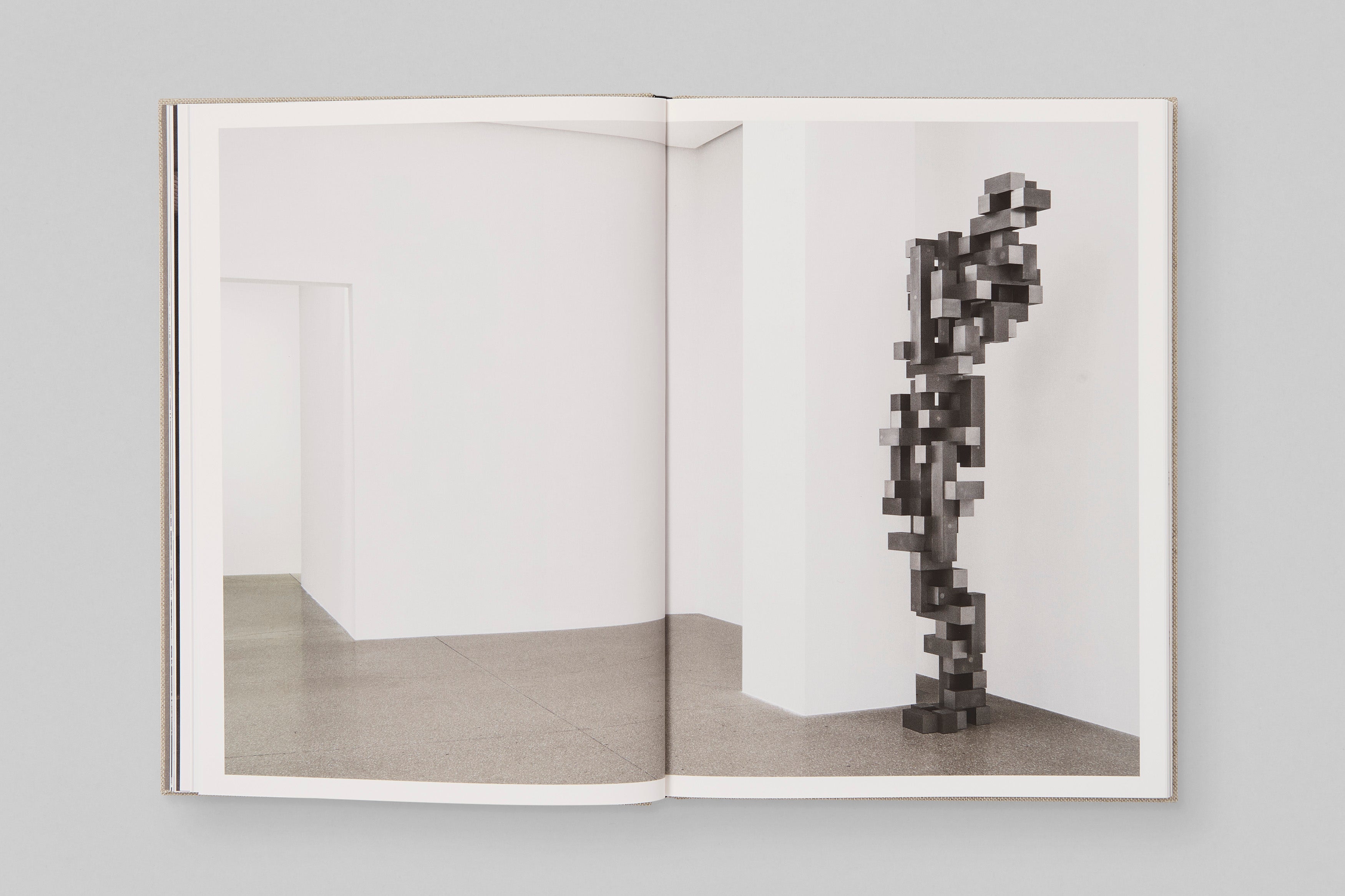 Antony Gormley ‘INEXTRICABLE’